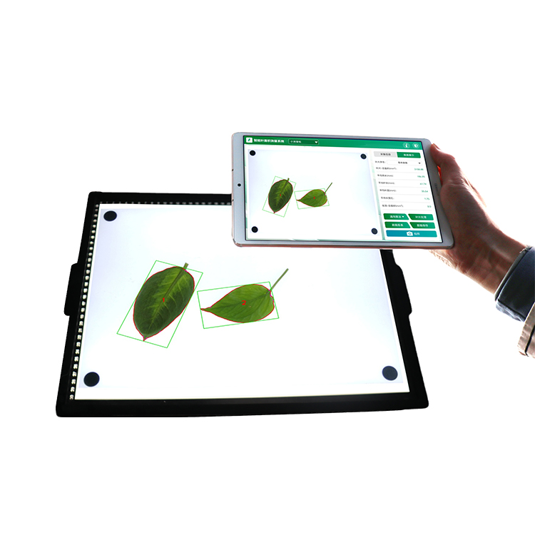 智能葉面積測量系統 YMJ-CHA3